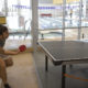 Students compete in sectional tournament pingpong club