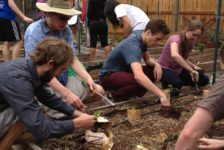 Community gardens provide Westminster students and community opportunity to reduce carbon footprint