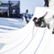 Westminster student, U.S. Ski Team athlete struggles with knee injury – again