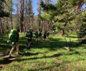 Thin Mints, Tagalongs and intentionality in the outdoors