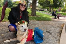 Dogs connect the campus community at Westminster Mutt Show
