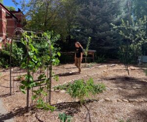 Students grow a fruit orchard, courtesy of the Environmental Center